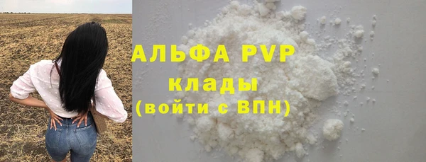 стафф Новозыбков