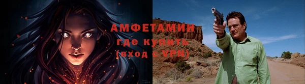 стафф Новозыбков