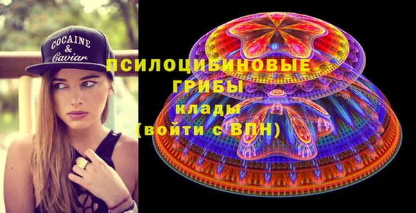 ПСИЛОЦИБИНОВЫЕ ГРИБЫ Новокубанск