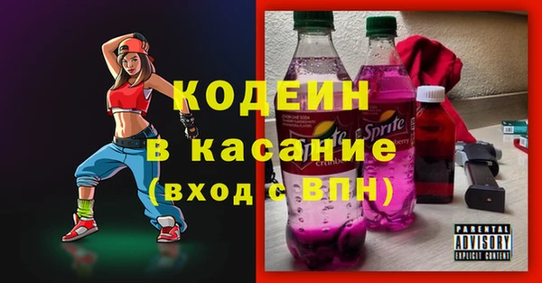 шишки Верея