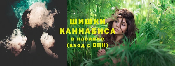 стафф Новозыбков