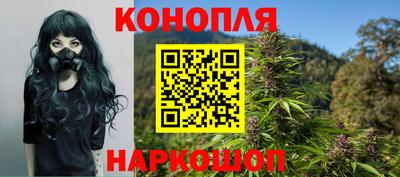 шишки Гусь-Хрустальный
