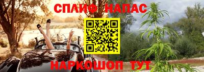 шишки Гусь-Хрустальный